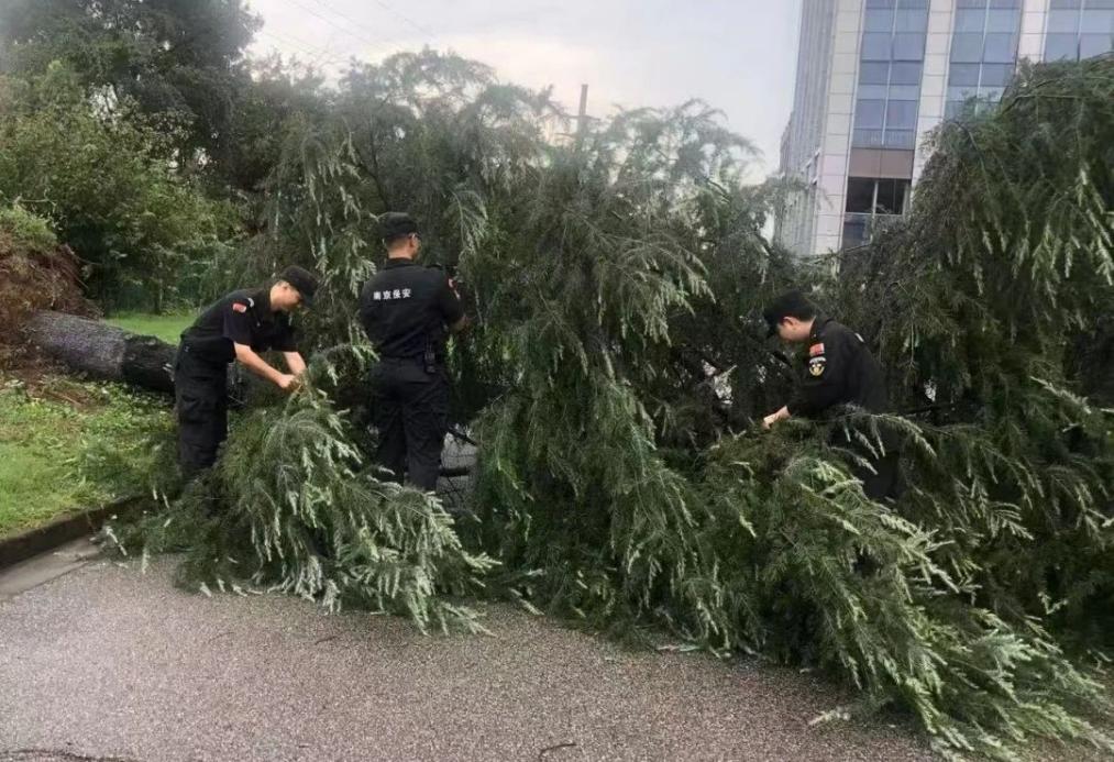 C:/Users/BA/Desktop/風(fēng)雨過后南京保安迅速行動，恢復(fù)安“寧”面貌/1.jpg1